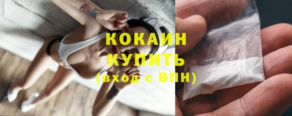 ГАЛЛЮЦИНОГЕННЫЕ ГРИБЫ Михайлов