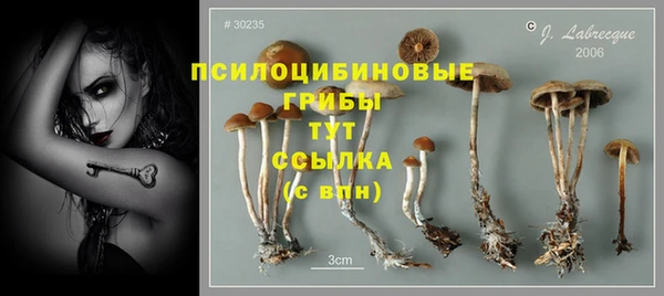 ALPHA PVP Киренск