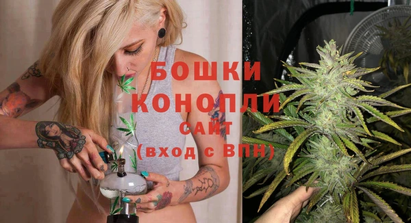 ГАЛЛЮЦИНОГЕННЫЕ ГРИБЫ Михайлов