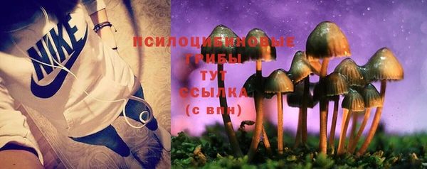 ГАЛЛЮЦИНОГЕННЫЕ ГРИБЫ Михайлов