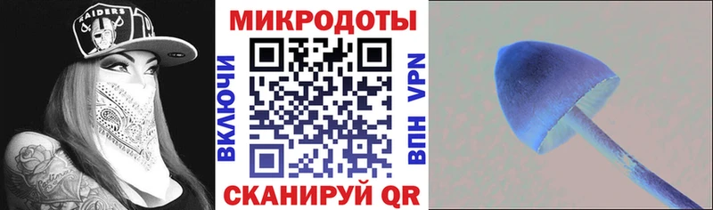 даркнет сайт  Ялуторовск  Псилоцибиновые грибы Psilocybine cubensis 